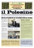 Polesine 12 - confagricoltura rovigo