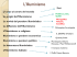 L`Illuminismo - profcanale.it
