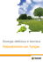 Energia elettrica e termica Naturalmente con Syngas