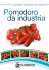 Catalogo Pomodoro da Industria