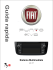 Guida Rapida Navi Fiat Punto Evo
