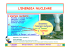L`ENERGIA NUCLEARE L`energia nucleare…