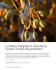 Scarica l`articolo in formato pdf