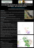 Poster - Guida Ufficiale Parco Appennino Lucano