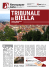 vendite immobiliari e fallimentari