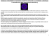 metafisica trascendentale della materia universale