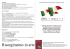 Risorgimento in arte ()