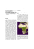 evoluzione geologica del basamento metamorfico toscano