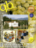 articolo - Azienda Agricola Codelli