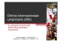 Diritto internazionale umanitario (DIU)