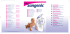 J11344 Sangenic Inst LFLT