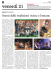 eXtra, 20.8.2015