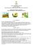 Manifesto Asilo Nido 2015-2016