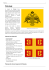 Paleologi - IMPERIAL ROYAL ARMS
