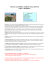 Vacanze accessibili per disabili vicino Rimini brochure