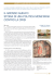 articolo completo in formato pdf