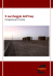 Il saccheggio dell`Iraq