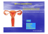HRT e K ENDOMETRIO