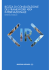 Consultation Draft - integrated report project