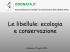 Le libellule: ecologia e conservazione