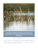 Innovative technologies for the sustainable management and