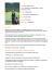 Curriculum Vitae Laura Rossi Martelli