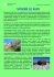 Newsletter di Presentazione