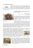 clicca qui - Planet Life Economy Foundation