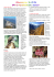 Origine del nome - Apprendimentocooperativo.it