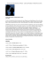 Versione PDF - Comune di Pesaro