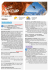 2 – 3 Aprile 2015