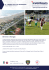 11° trofeo citta di viareggio