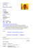 curriculum vitae